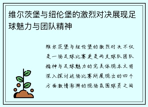 维尔茨堡与纽伦堡的激烈对决展现足球魅力与团队精神